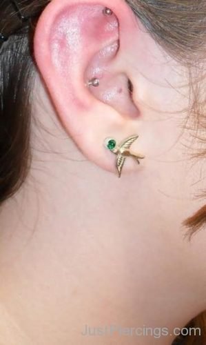 Inner Conch, Inner Helix & Dual Lobe Ear Piercing With Bird Stud-JP1066