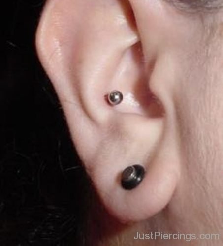 Lobe Conch Piercing-JP1200