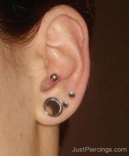 Lobe Piercing And Conch Piercing-JP1201