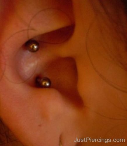 Orbital Conch Piercing-JP1212