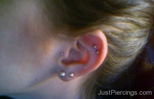 Outer Conch, Tragus, and Double Lobes-JP1173