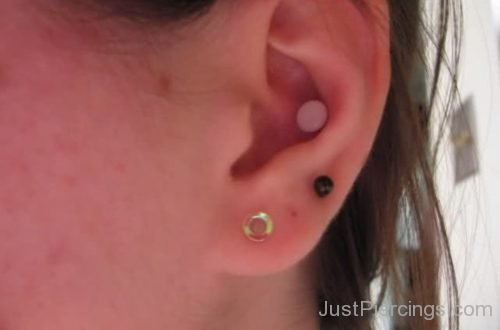 Perfect Conch Piercing-JP1140