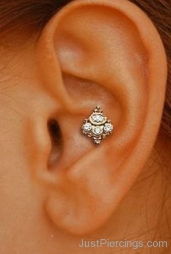 Pretty-Conch Piercing-JP1216