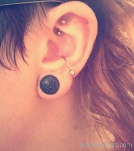 Rook, Conch Piercing And Lobe Stretching-JP1221