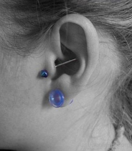 Tragus Conch Industrial Piercing-JP1235