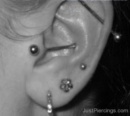 Tragus To Conch Piercing-JP1238