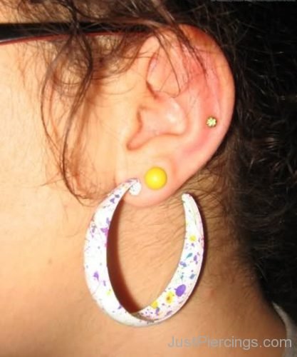 Yellow Stud, Snug And Lobe Ear Piercing-JP187